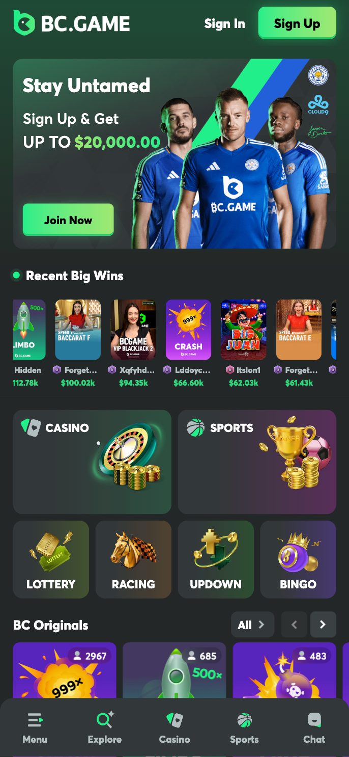 BC.Game Casino Screenshot