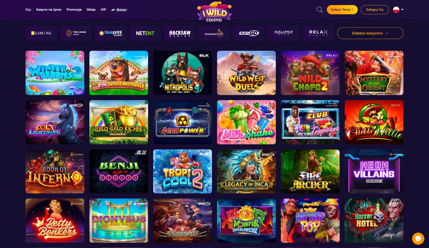 iWild Casino Screenshot
