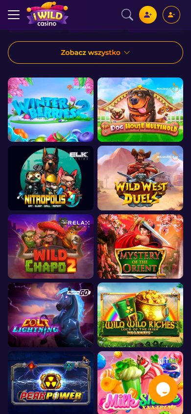 iWild Casino Screenshot
