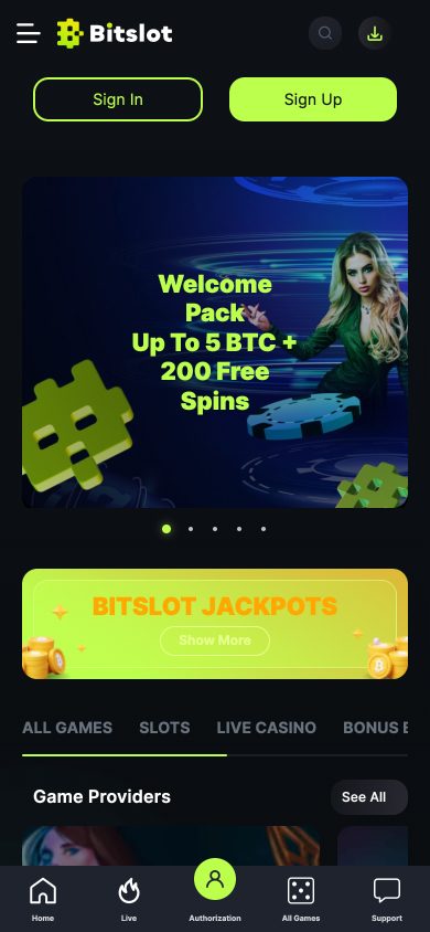 BitSlot Casino Screenshot