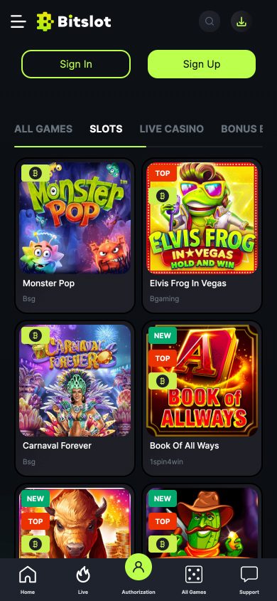 BitSlot Casino Screenshot