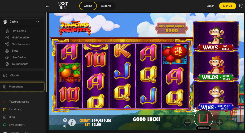 Leetbit Casino Screenshot