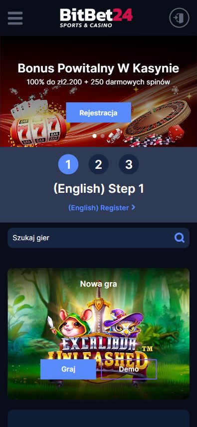 BitBet24 Casino Screenshot