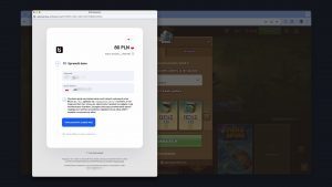 Wpłata BLIK - Sprawdź dane