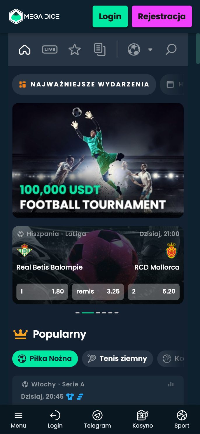 Mega Dice Casino Screenshot