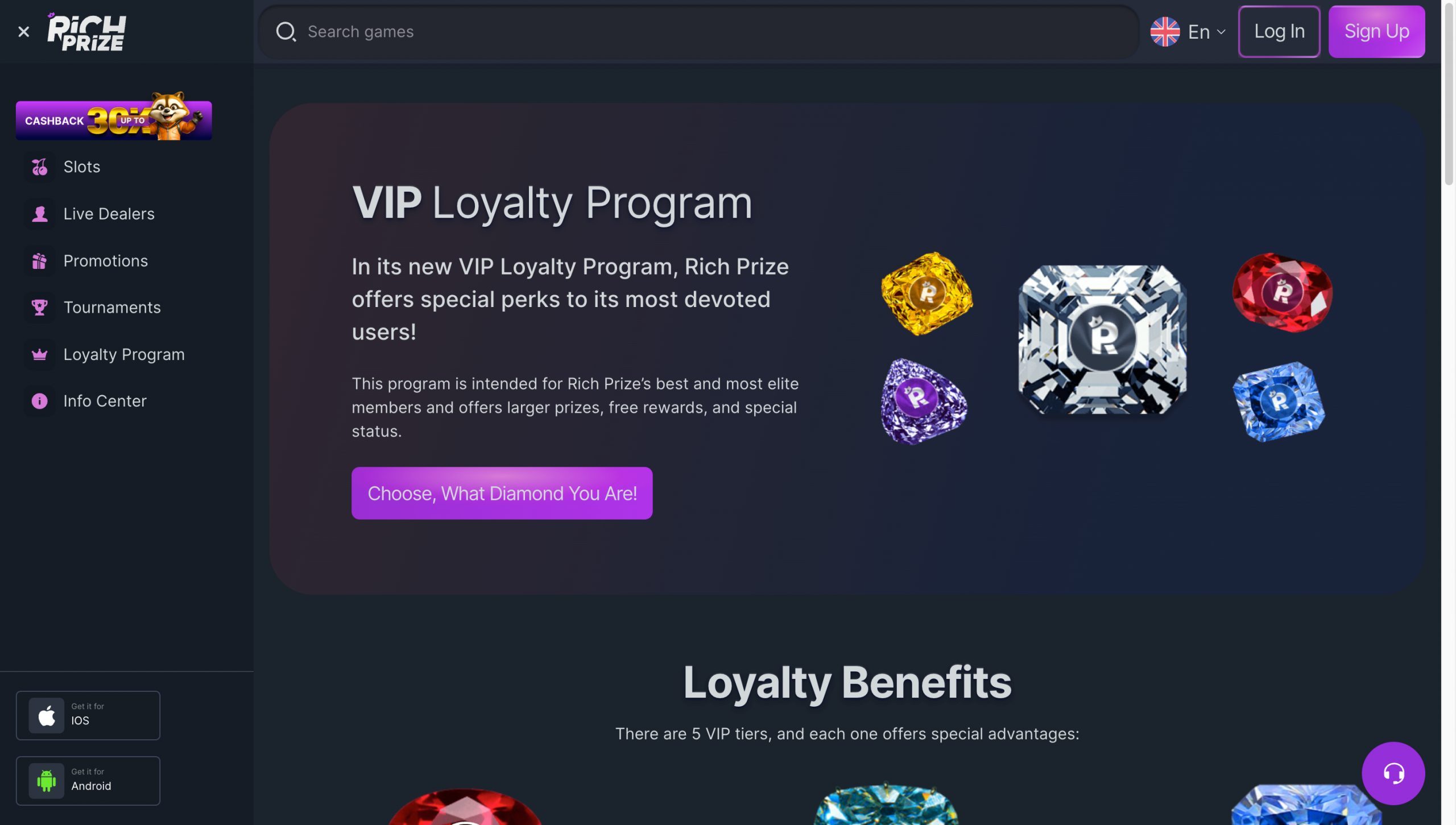 RichPrize Casino Screenshot