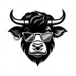 Wall Street Memes Casino